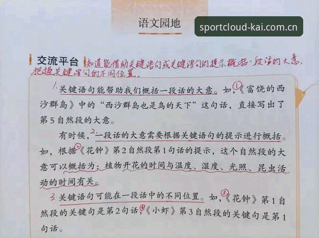 行业观察：一位资深用户对云开体育2026新版的深度评测与使用心得