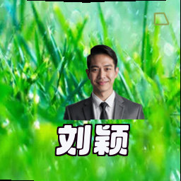 刘颖